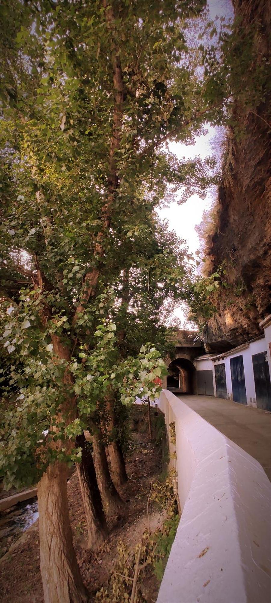 Casa Cueva Las Chicas Del Puente Setenil De Las Bodegas Exterior foto